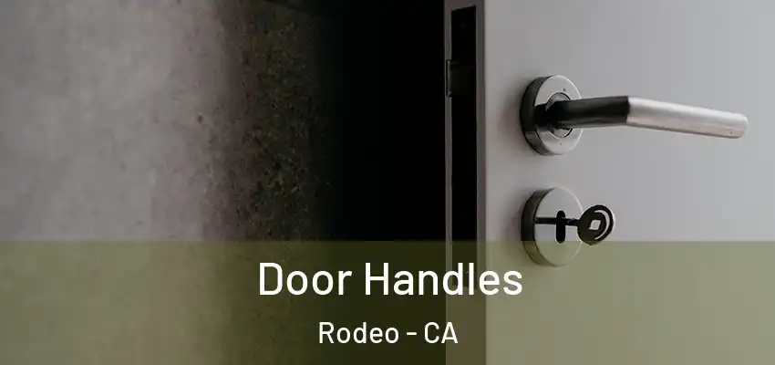  Door Handles Rodeo - CA