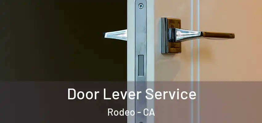  Door Lever Service Rodeo - CA