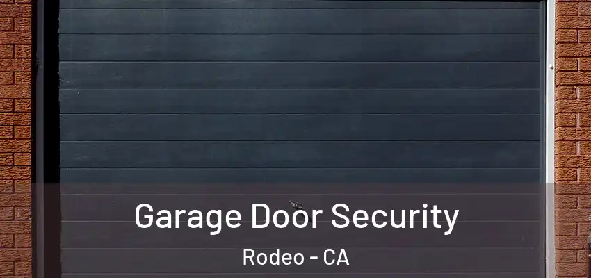  Garage Door Security Rodeo - CA