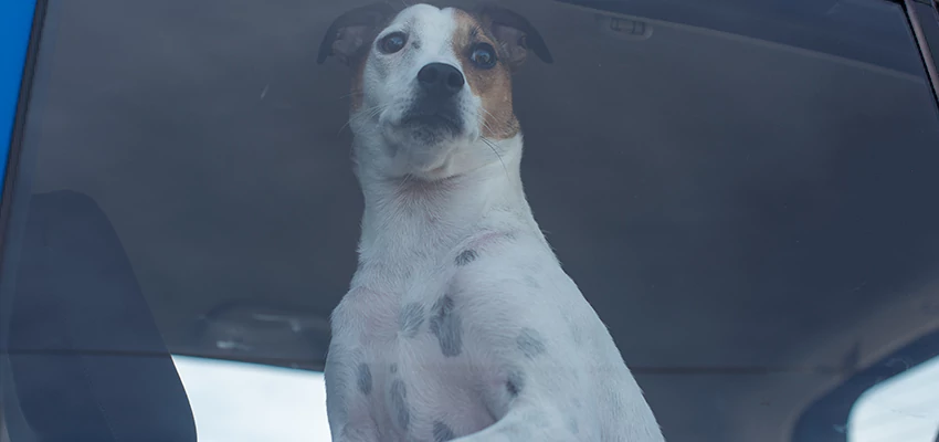 Car Lockout Solutions in Rodeo, California